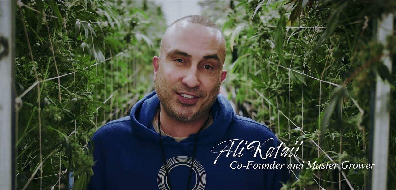 Ali Kataii, Source Cannabis co-founder and master grower, talking among the plants